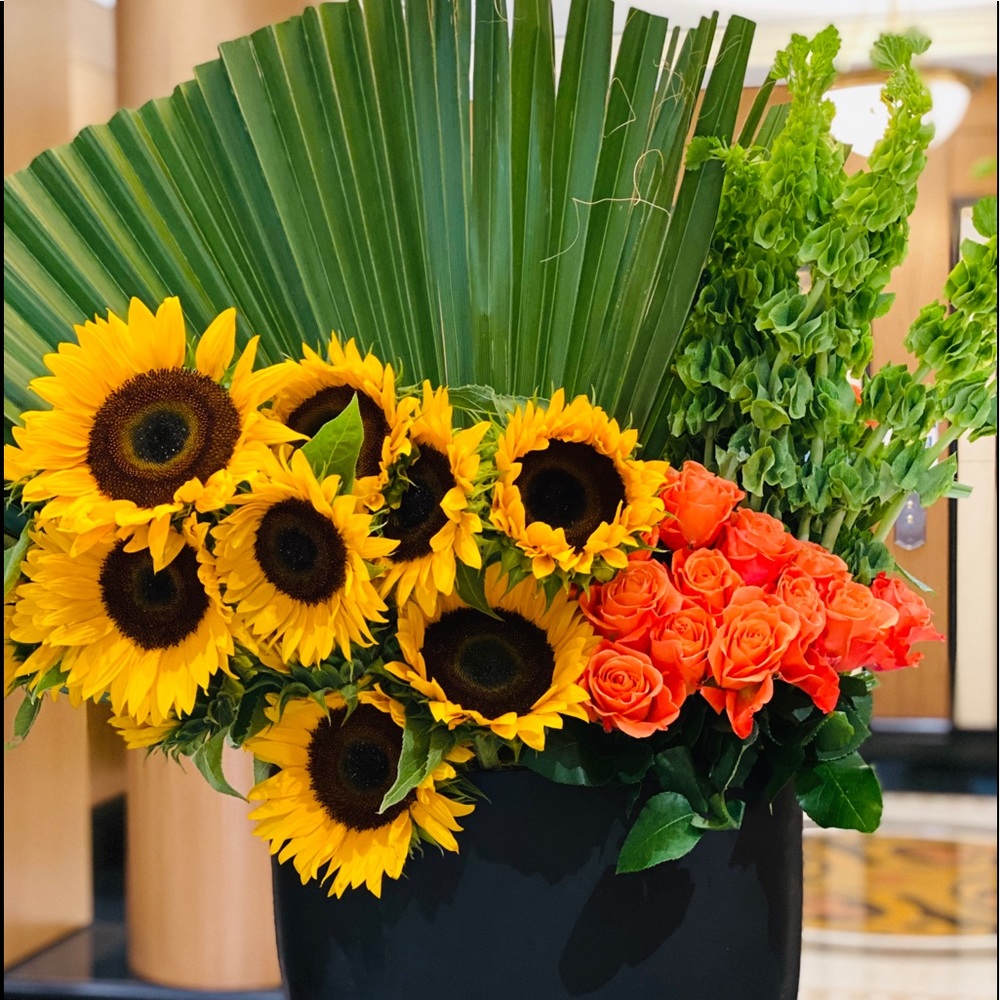 Meet your Posher, Sheila